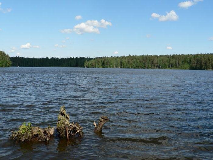 комарово достопримечательности музеи театры