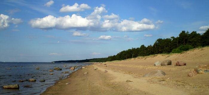 комарово достопримечательности