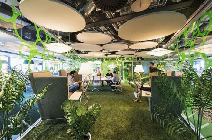 Работа в Google: как трудоустроиться в компанию?