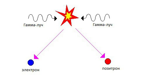 В схеме столкновение двух принципов престолонаследия обведите красным цветом стрелки