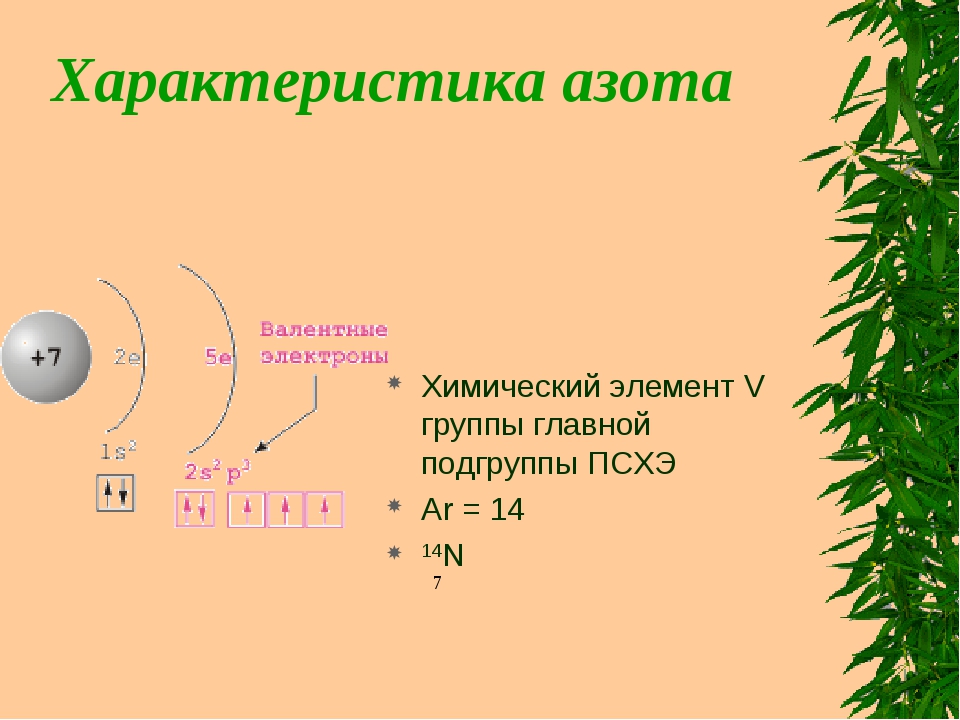 Описание азота по плану 8 класс химия