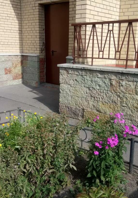 Способы управления МКД. Права и обязанности органа управления МКД