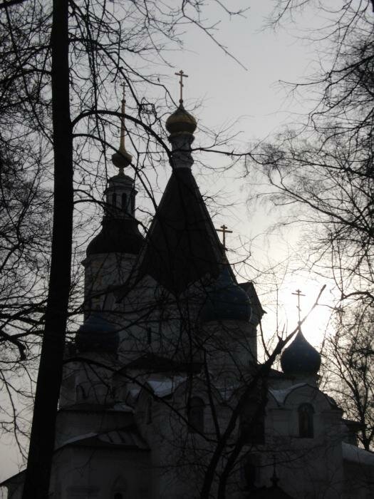 Церковь Успения Пресвятой Богородицы. Храм в Вешняках: его история и расписание богослужений